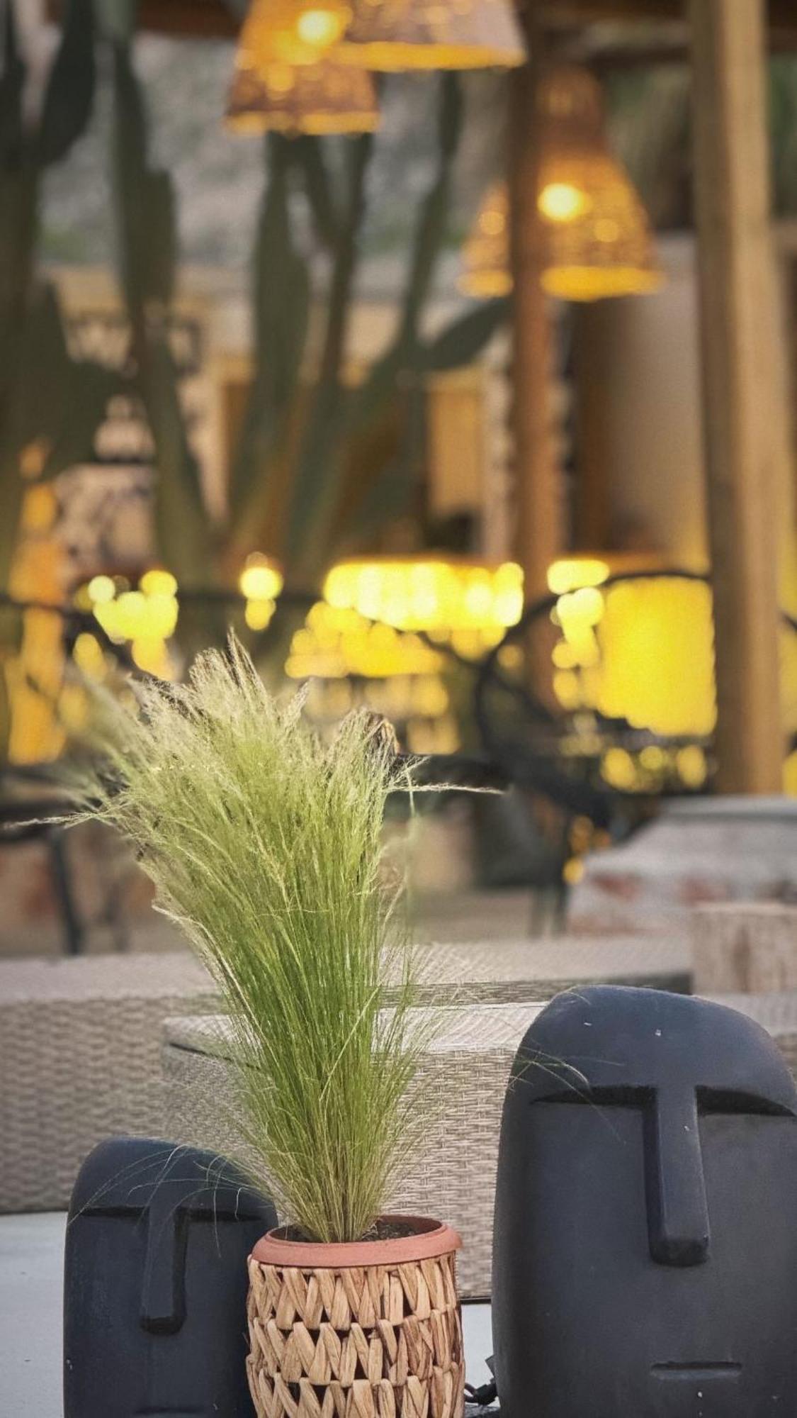 La Casa Di Lusso N6 -adults Only Case de vacanță